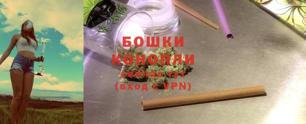 бошки Белокуриха