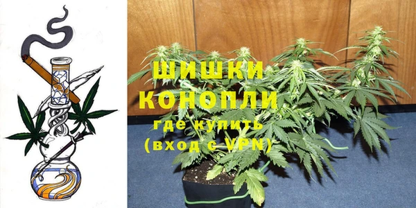 бошки Белокуриха