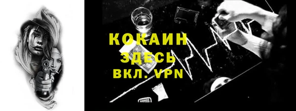 бошки Белокуриха