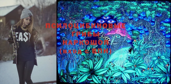бошки Белокуриха