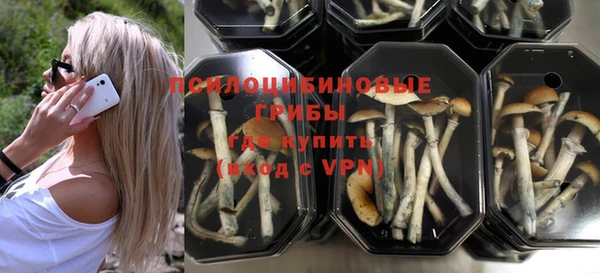 бошки Белокуриха