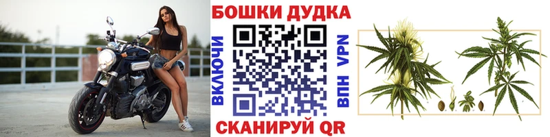 blacksprut tor  сайты даркнета клад  Канабис VHQ  где купить   Курганинск 